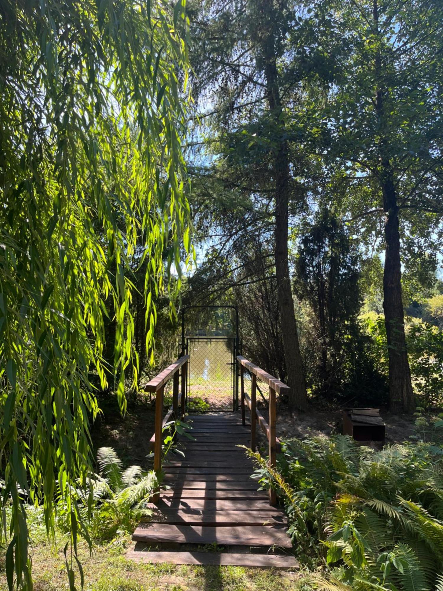Las I Staw Roztocze Wolka Losiniecka Exterior foto